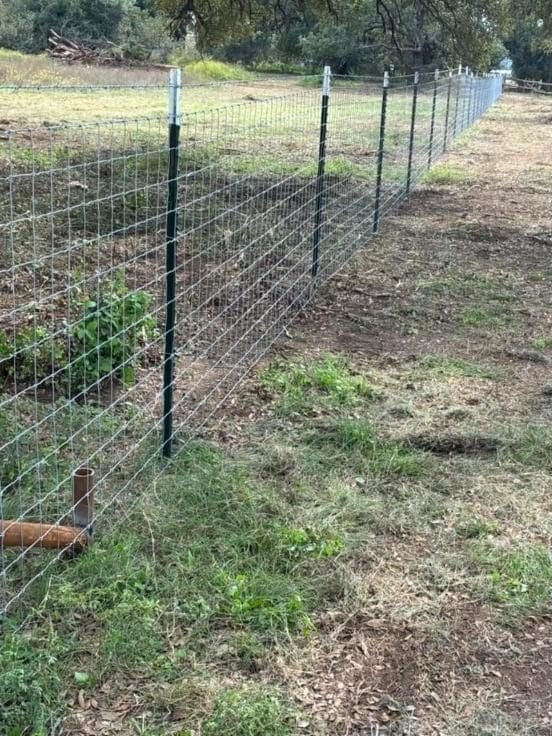 New wire fence on T-posts along a cleared fence line